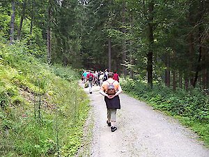 Die Schmalzler - Bayerischer Wald